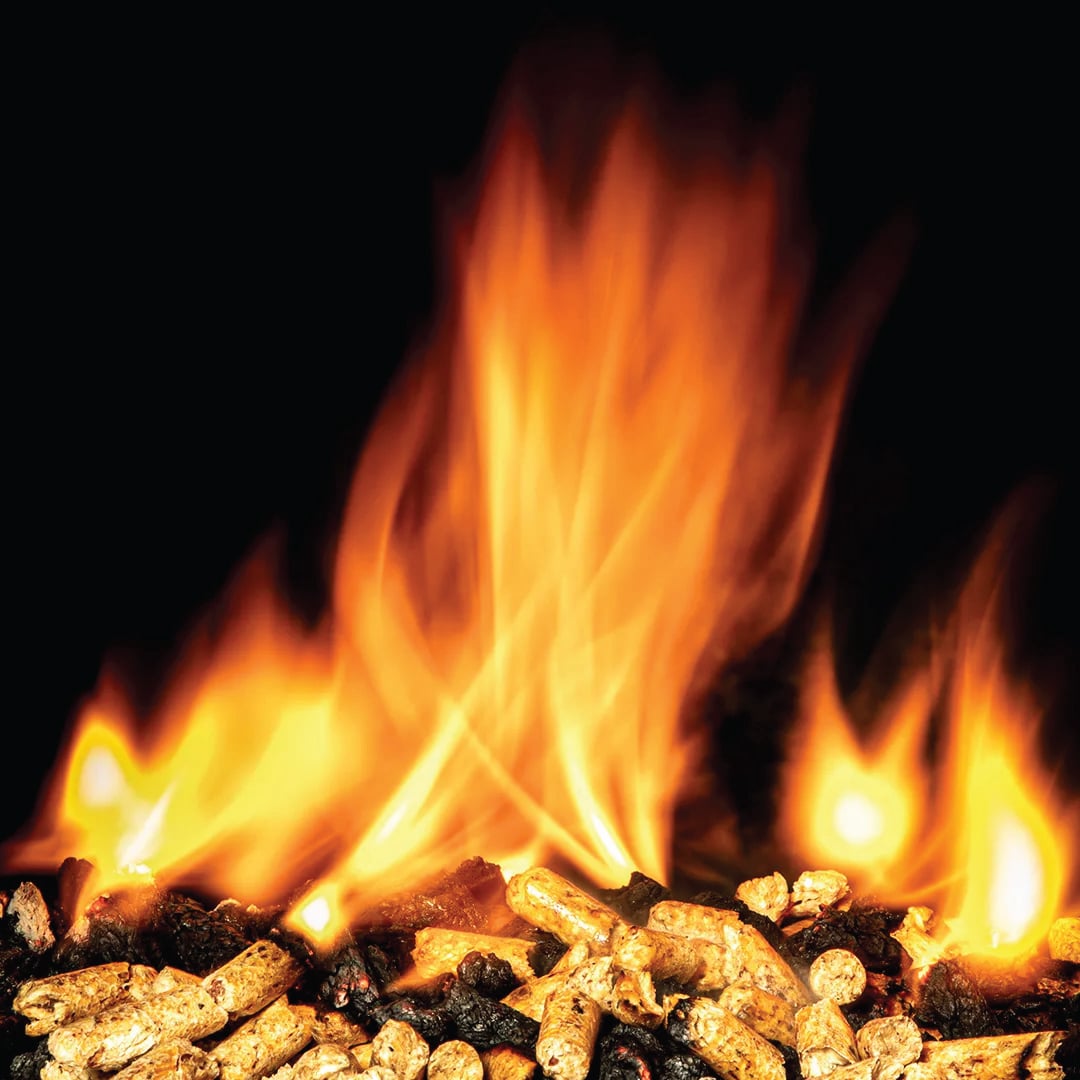 Biomass